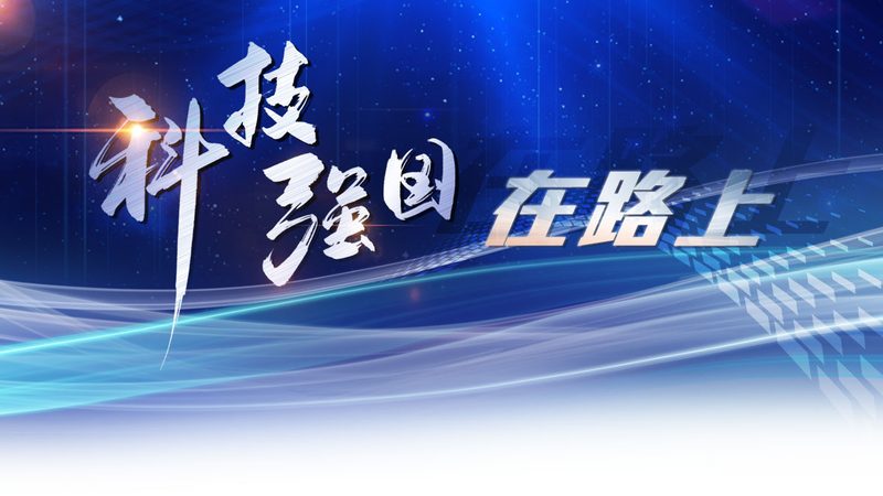 软件稳定性测试：关键步骤与注意事项